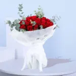 01 (11)