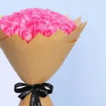 Pink Rose - Revival 2 02