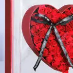 Astounding Heart 2 03