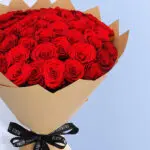 Red Rose - Upper Class 5 03