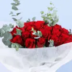 04 (11)