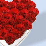 Red Roses In Heart Shaped Marbled Box 2 04 (25)