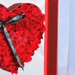Astounding Heart 4 04