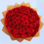 Red Rose - Upper Class 3 05