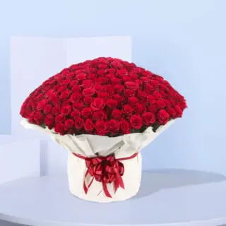 Bouquet of 500 Red Roses