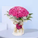 60 Pink Roses - Blushing Love 1 1 (82)