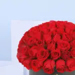 Amusing Red Roses In A Box 3 2 (125)