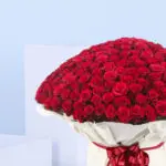 Bouquet of 500 Red Roses 2 2 (26)