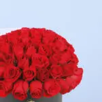 Amusing Red Roses In A Box 4 3 (126)