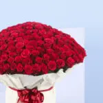 Bouquet of 500 Red Roses 3 3 (27)