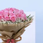 Let Pink Speak 2 3 (80)