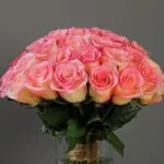 Bunch of light pink Roses 3 3_2_.png