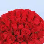 Amusing Red Roses In A Box 2 4 (102)