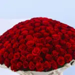 Bouquet of 500 Red Roses 4 4 (14)