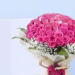 60 Pink Roses - Blushing Love 4 4 (61)
