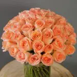 Bunch of Peach Roses 2 4_1_.png