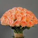 Bunch of Peach Roses 3 4_2_.png