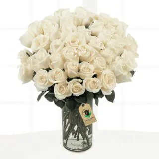 50 cream rose stems arranged in a glass cylindrical vase, accompanied by a message card.