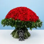 500 Red Roses for Valentine's 1 500-red-roses-for-valentine’s