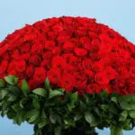 500 Red Roses for Valentine's 2 500-red-roses-for-valentine’s_04