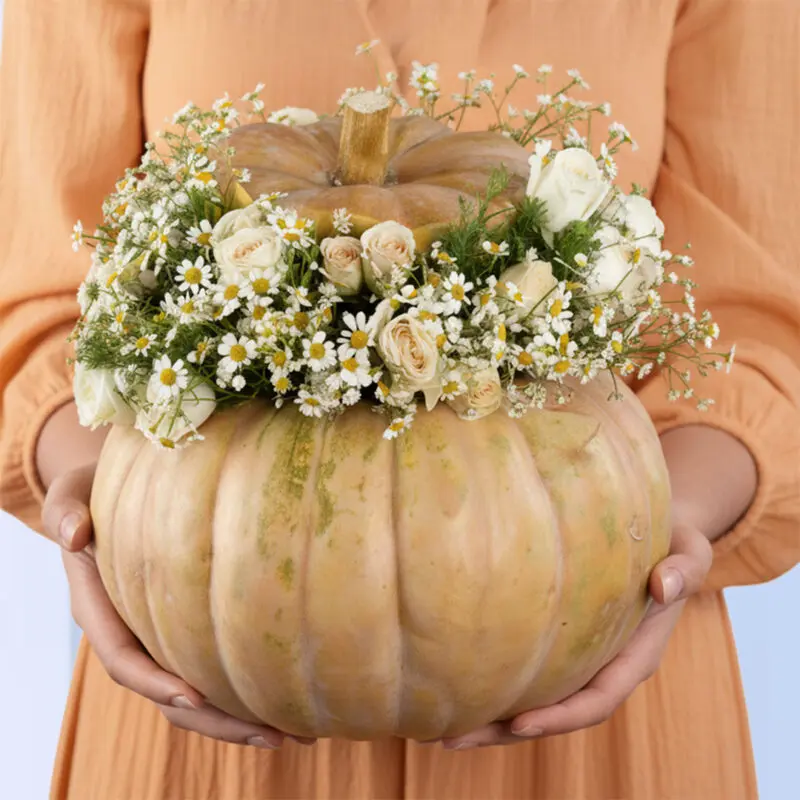 pumpkin filled with white roses and chamomile flowers. The arrangement is set against a light blue background.
