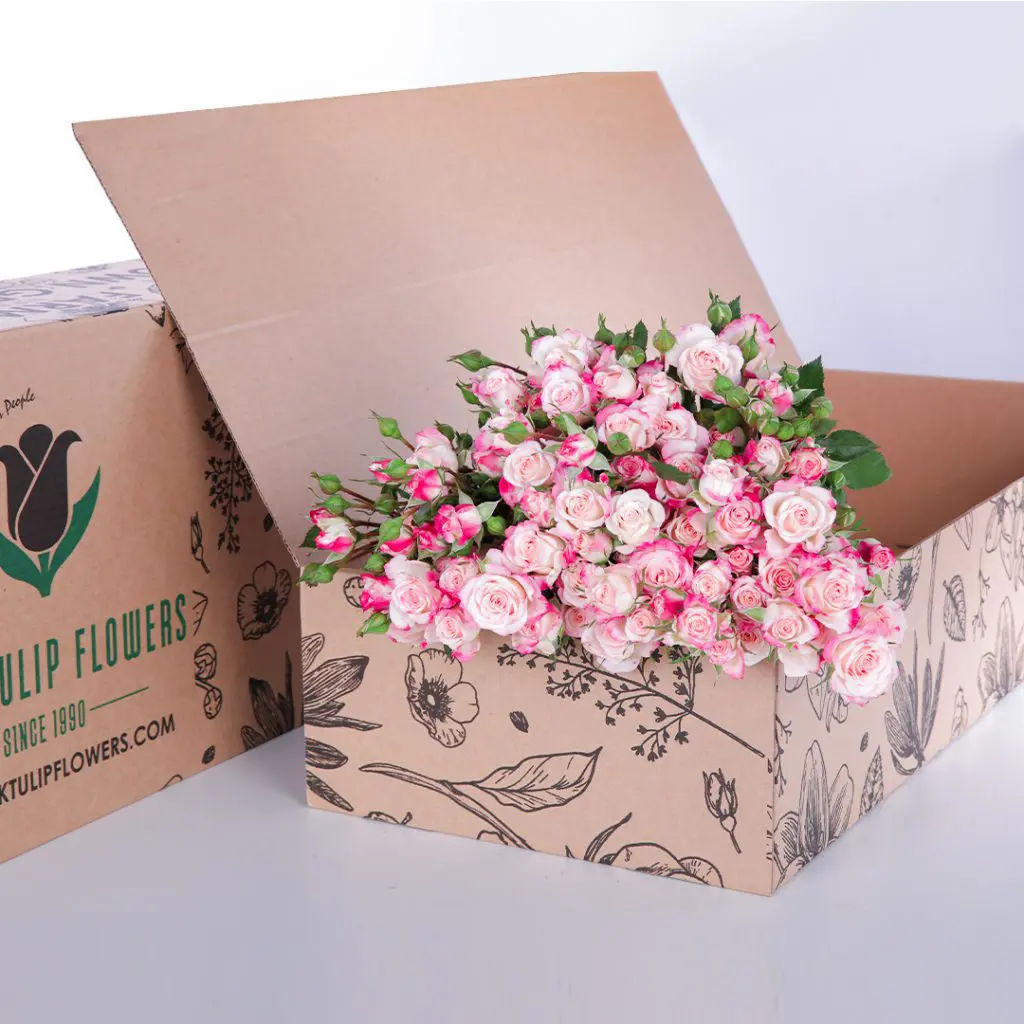 Bunch of pink spray roses, 40-50 cm height, with flower food in a brown box.