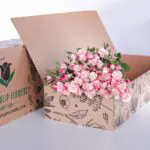 Spray Roses Reflex (1)