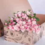 Spray Roses Reflex (2)