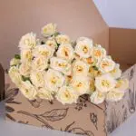 Spray Roses Salinero with vase 2 Spray Roses Salinero with vase (2)
