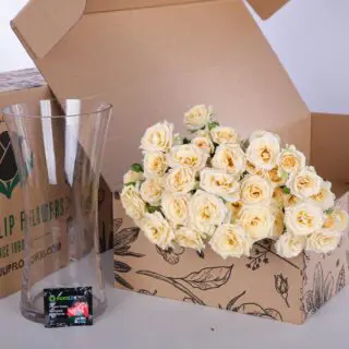 Bunch of cream spray roses with glass vase and added flower food.