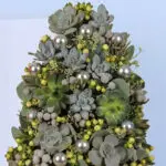 Succulents In A Box 2 Succulents-In-A-Box-02-25