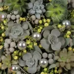 Succulents In A Box 4 Succulents-In-A-Box-04-25