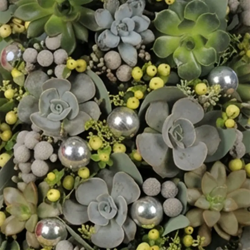 Succulents-In-A-Box-04-25 Succulents In A Box 04 25