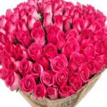 bouquet_of_50_premium_pink_roses.png