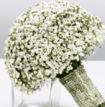 Pure Gypsophila Bridal Bouquet 2 bridal_bouquet_-_gypsophila_round_-_copy.png