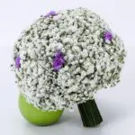 Gypsophila Bridal Bouquet 1 bridal_bouquet_-_gypsophila_with_statice_purple_2.png
