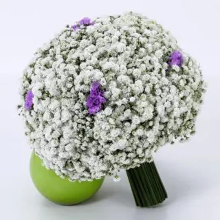 Gypsophila Bridal Bouquet