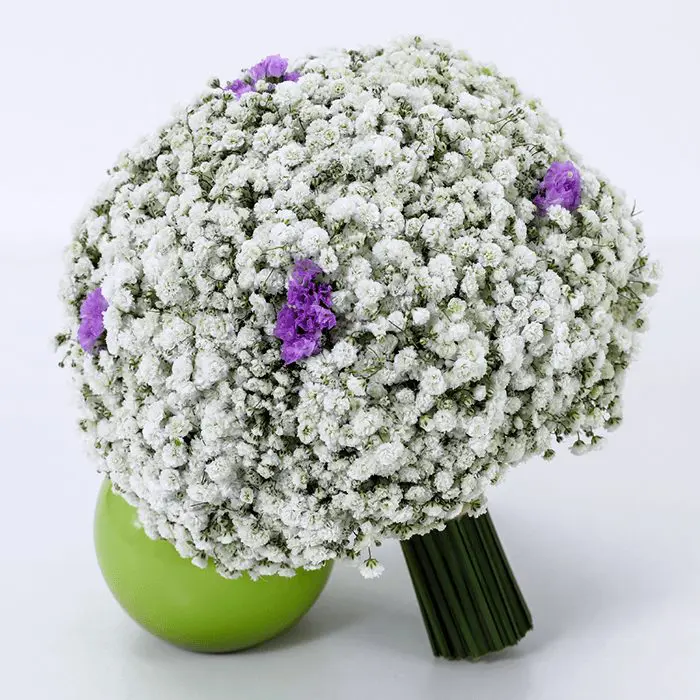 bridal_bouquet_-_gypsophila_with_statice_purple_2.png bridal bouquet gypsophila with statice purple 2