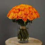 Bunch of Orange Roses 1 bunch_of_orange_roses.png