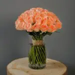 Bunch of Peach Roses 1 bunch_of_peach_roses.png