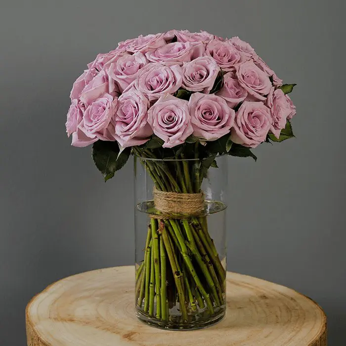 bunch_of_purple_roses.png bunch of purple roses