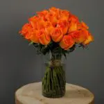 bunch_of_spritz_roses.png