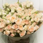 Charming Hand Bouquet 2 charming_hand_bouquet_1.png