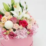 flower_vibes_2_.png