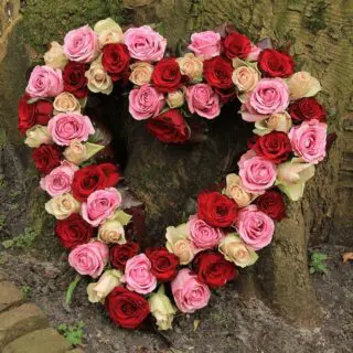 Heart Shape - Mix Roses
