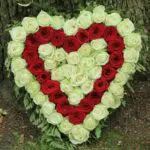 Heart Shape Red and White Flowers 1 heart_shape_red_and_white_flowers.png