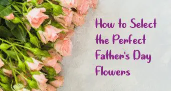 how to select the perfect fathers day flowers