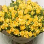 Joyful Hand Bouquet 2 joyful_hand_bouquet_1.png