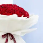 large-red-roses-bouquet-2026_02