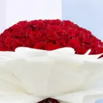 large-red-roses-bouquet-2026_04